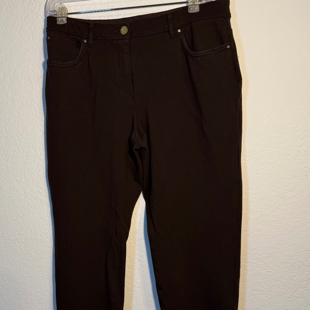 So Sliming by Chico's Brown Pants SZ Regular 2 Travel Business Casual Fall